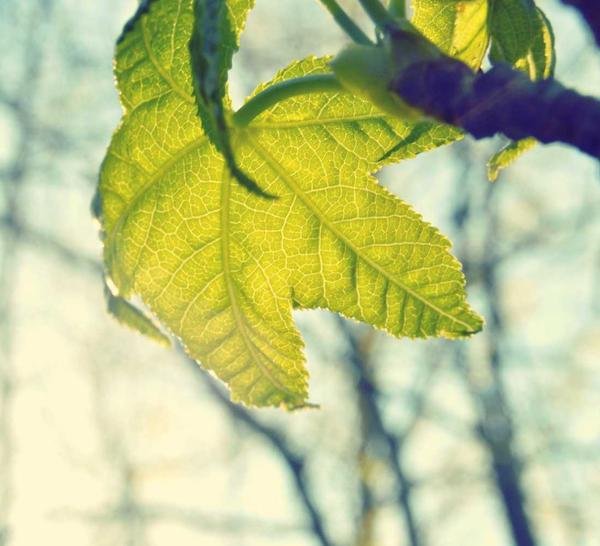 À propos de notre parapharmacie